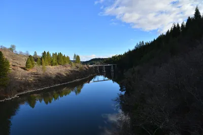 DSC_5909 (Large).JPG